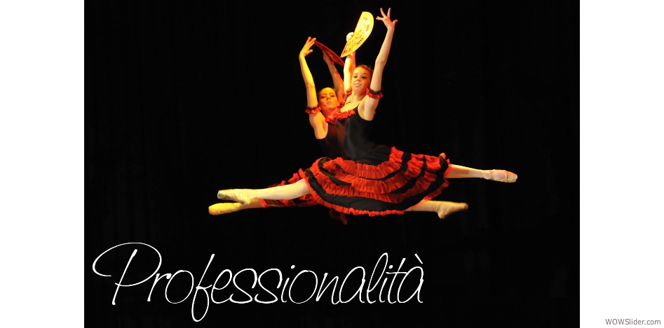 1 professionalita don chisciotte copia